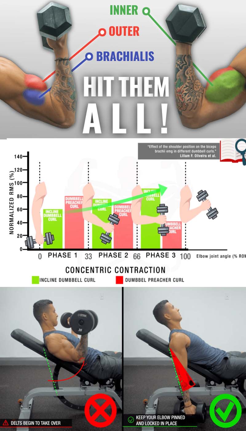 The Ultimate Dumbbell Bicep Workout You Need For Massive