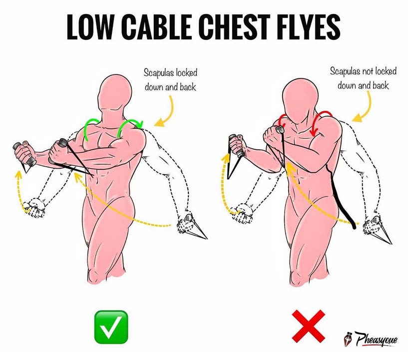 cable chest workout